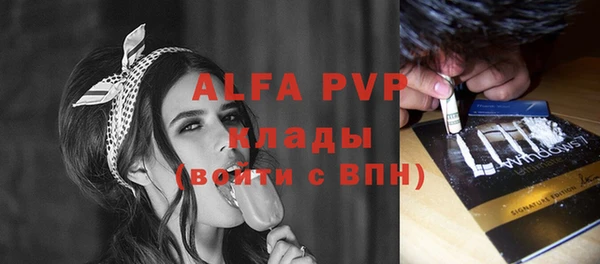амф Алексин