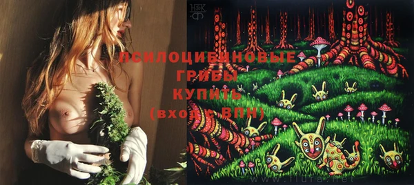 mdpv Алзамай