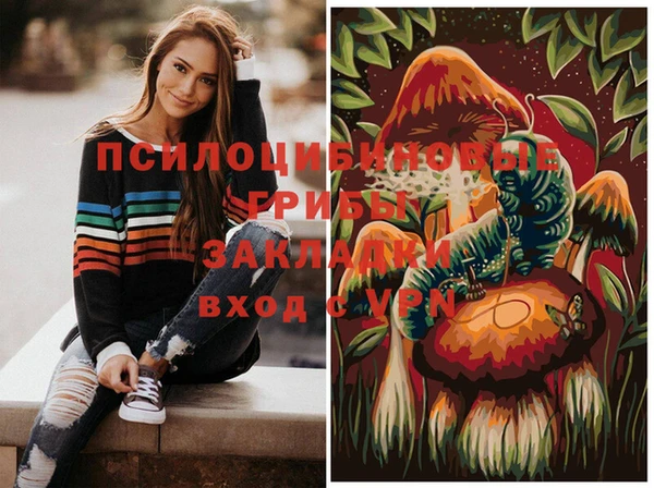 гидра Алексеевка