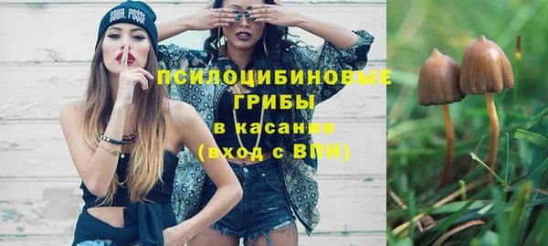 амф Алексин