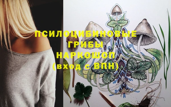 гидра Алексеевка