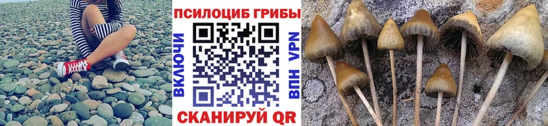 Галлюциногенные грибы Cubensis  где найти наркотики  shop Telegram  Новоуральск 