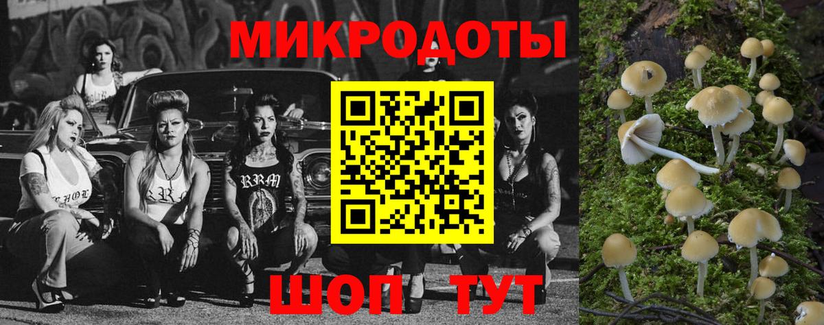 Новоуральск  Галлюциногенные грибы Psilocybine cubensis  Вход с VPN 