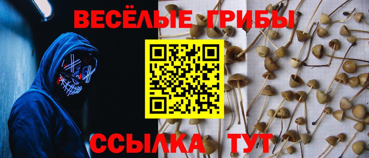 Галлюциногенные грибы ЛСД Новоуральск