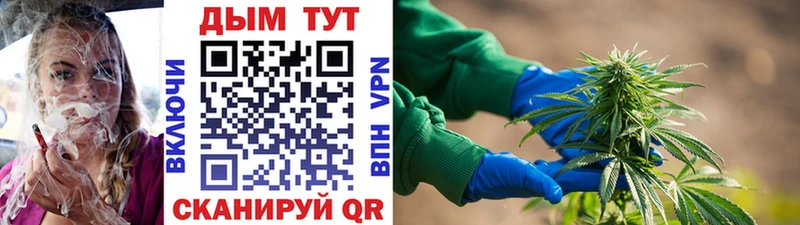 Бошки марихуана Ganja Новоуральск